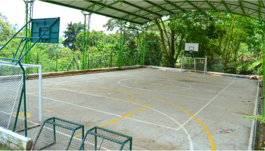 Vista interna de la Cancha deportiva del complejo Farmer Brown Cares