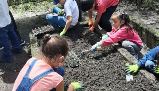 foto de los ninos en la huerta