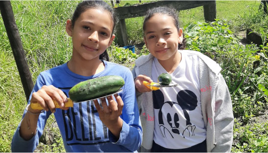 imagen de los vegetales de la huerta de FBC